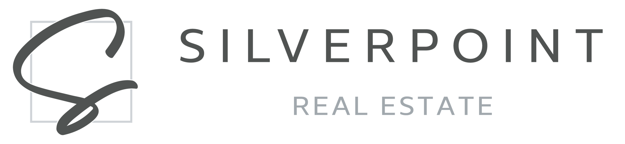 silver point logo