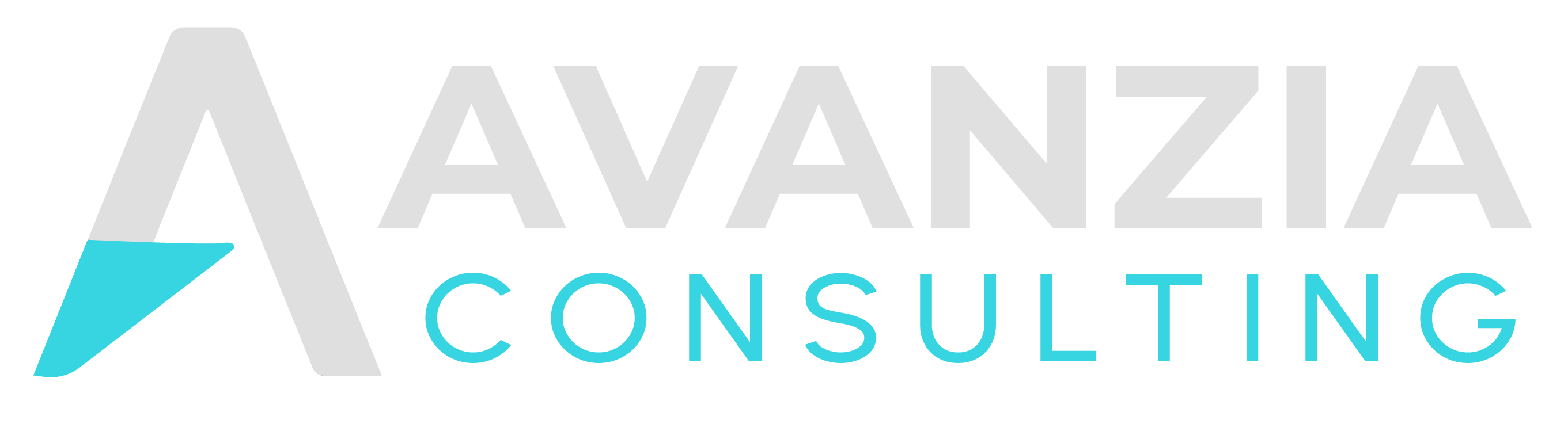 Avanzia Consulting